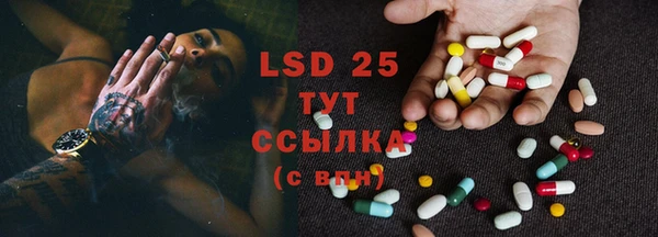 ПСИЛОЦИБИНОВЫЕ ГРИБЫ Алексеевка