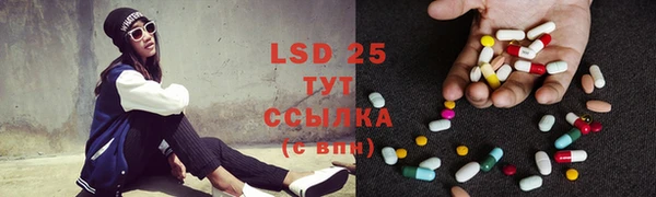 ГАЛЛЮЦИНОГЕННЫЕ ГРИБЫ Лиски