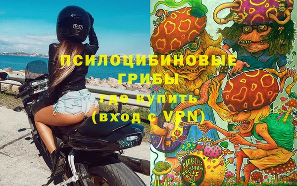 ГАЛЛЮЦИНОГЕННЫЕ ГРИБЫ Лиски