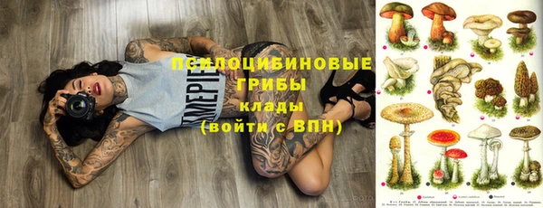 ПСИЛОЦИБИНОВЫЕ ГРИБЫ Алексеевка