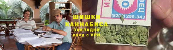 ГАЛЛЮЦИНОГЕННЫЕ ГРИБЫ Лиски