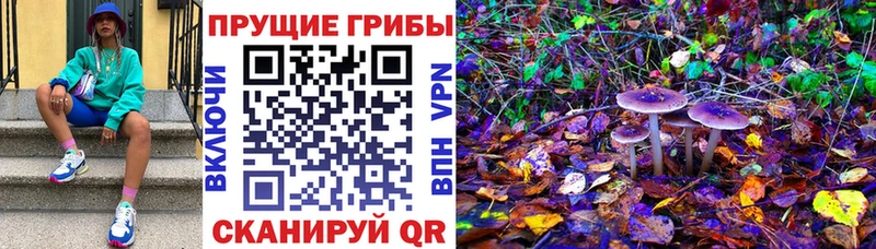 Псилоцибиновые грибы GOLDEN TEACHER  закладки  кракен ссылки  Алагир 